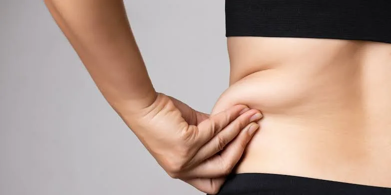 Stubborn Fat concern reference